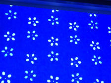 Eine blaue Oberfläche mit einem sich wiederholenden Muster aus weißen, sechsblättrigen Blumenformen, die gleichmäßig über die Oberfläche verteilt sind. Die Beleuchtung verleiht der Oberfläche ein leicht reflektierendes Aussehen.